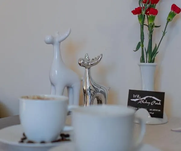 Skalny Potok Ζακοπάνε